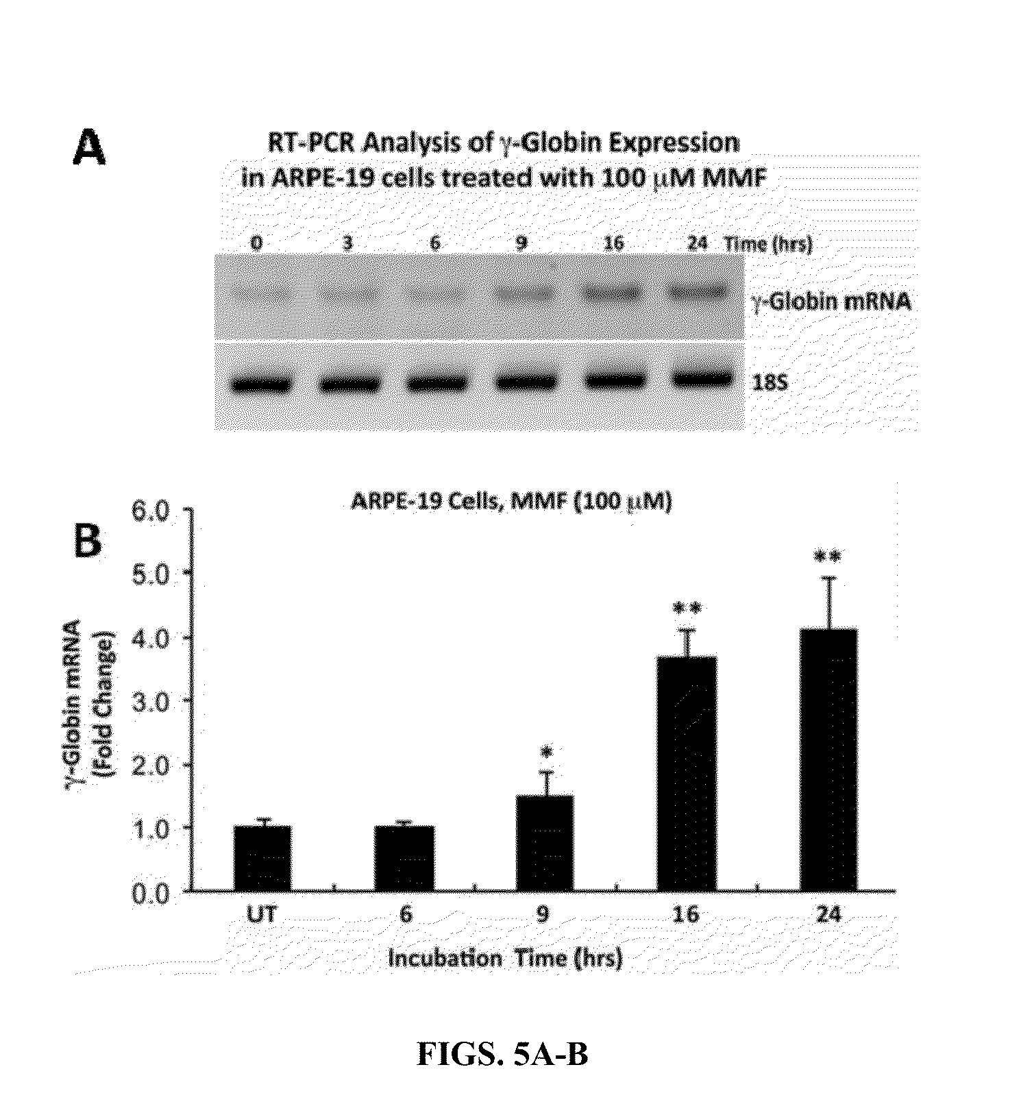 Methods of Treating Sickle Cell Disease and Related Disorders Using Fumaric Acid Esters