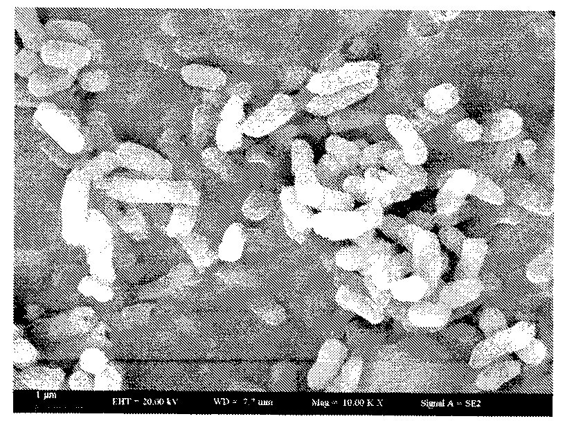 Contaminated soil phenanthrene and application thereof in contaminated soil restoration