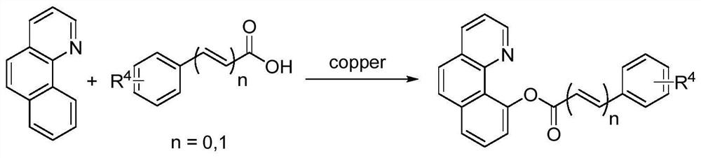 A kind of synthetic method of heteroatom-directed synthesis of benzoquinoline ester derivatives