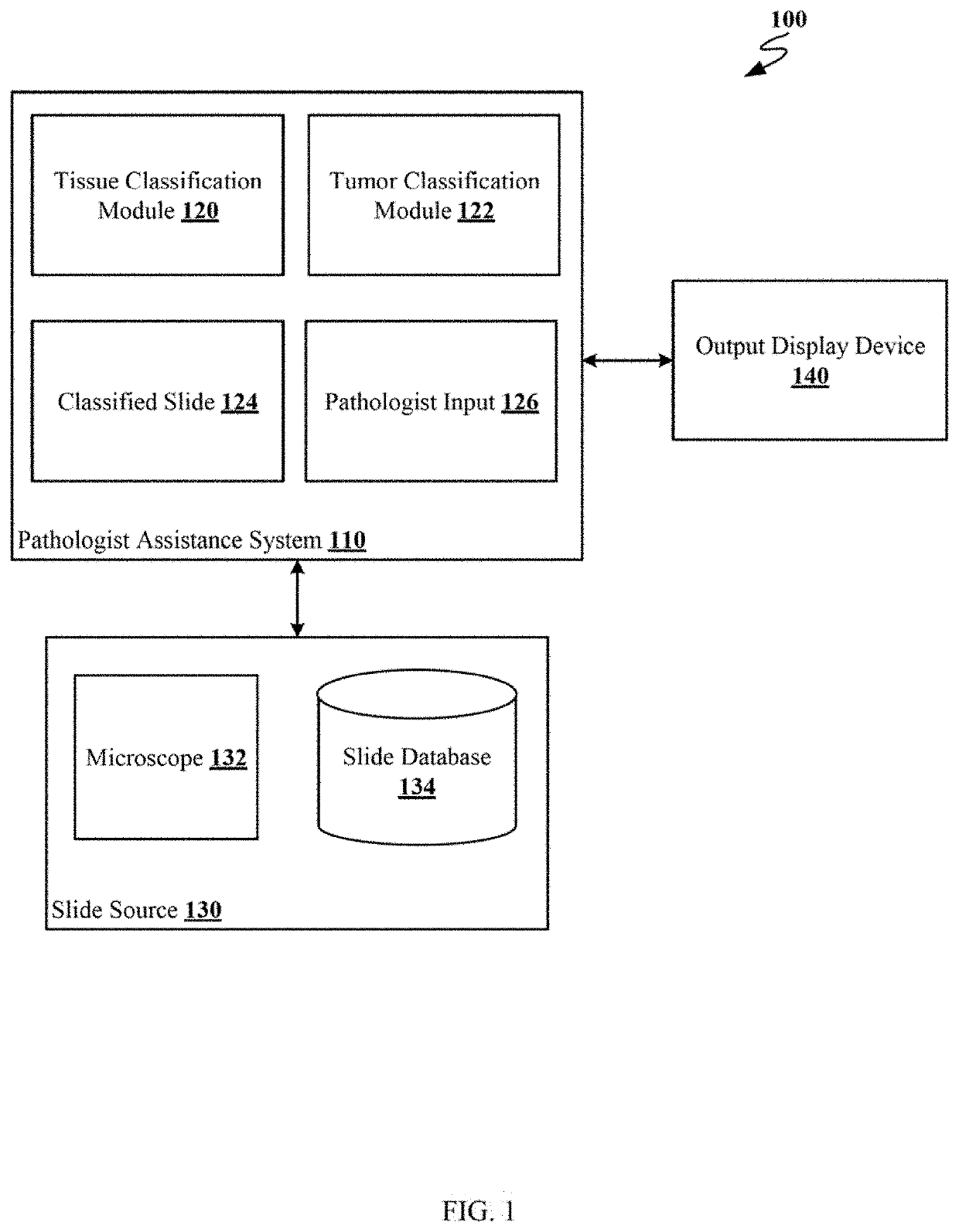 System for automatic tumor detection and classification