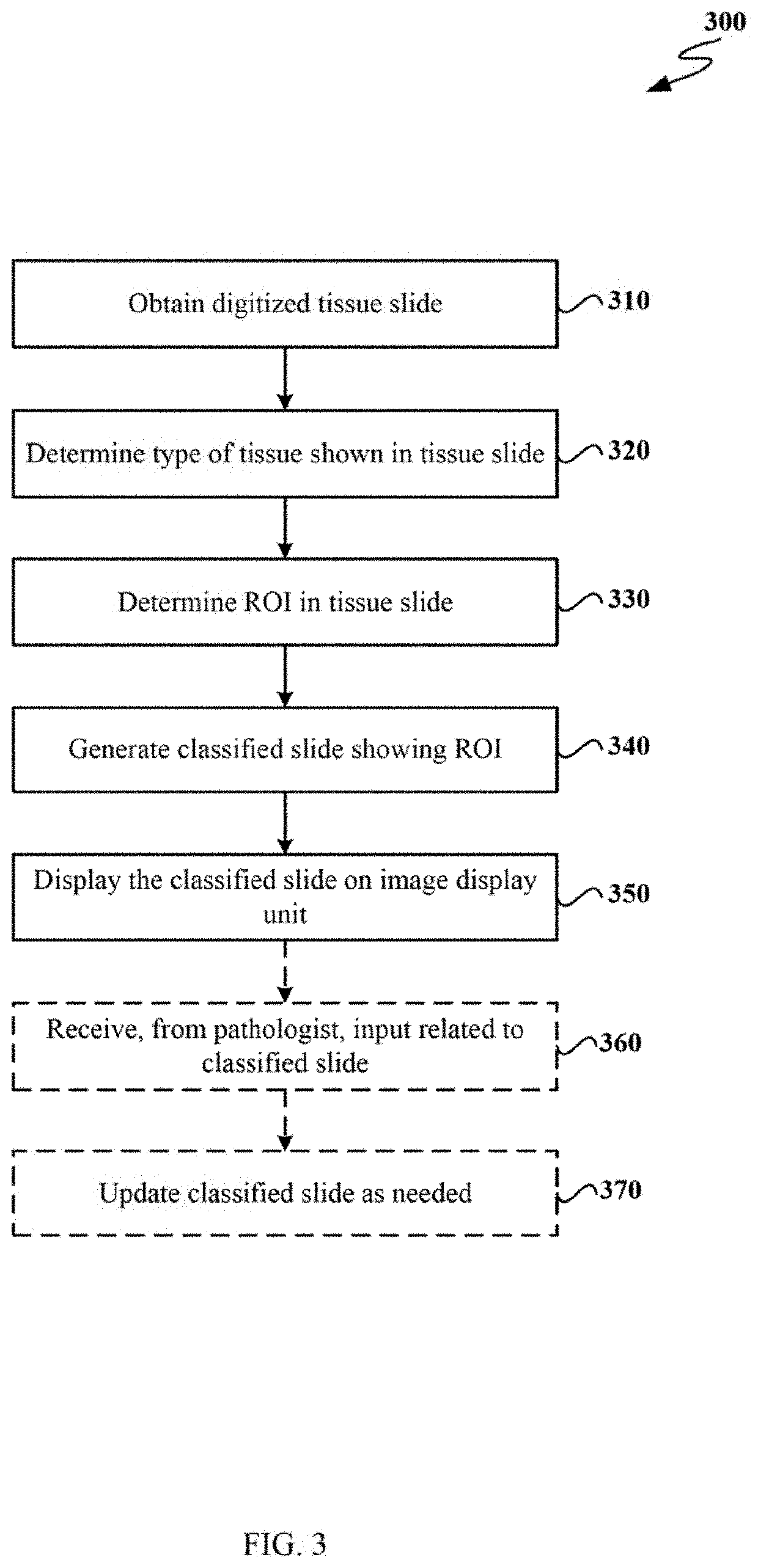 System for automatic tumor detection and classification