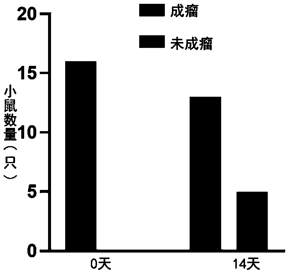 Application of spermidine in preparation of aortic aneurysm treatment drug