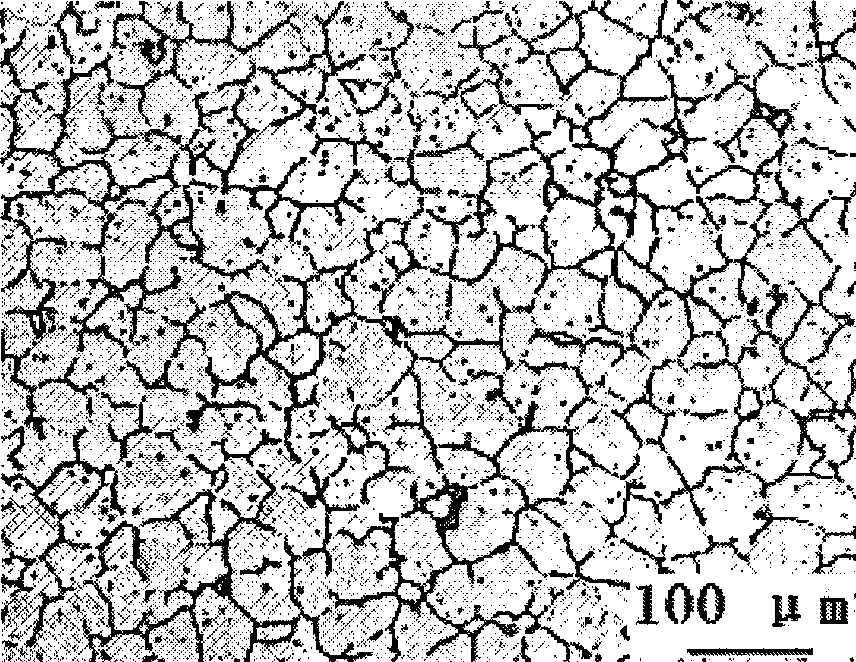 Preparation of nontoxic magnesium alloy material for biological implantation