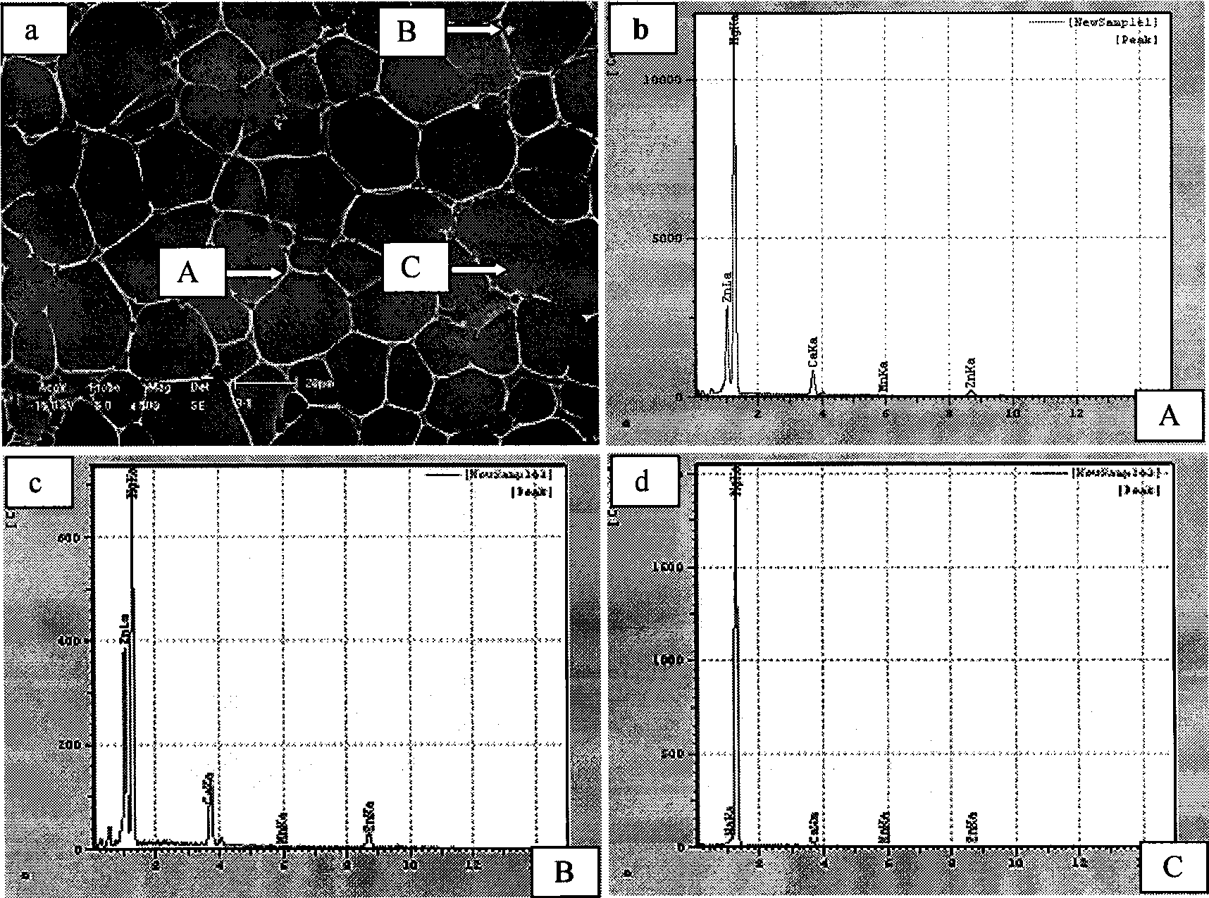 Preparation of nontoxic magnesium alloy material for biological implantation