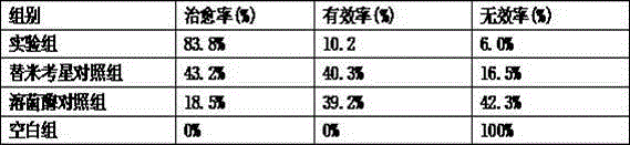 Compound tilmicosin solid dispersing agent and preparation method thereof