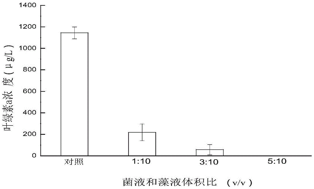 Brevundimonas diminuta and application thereof