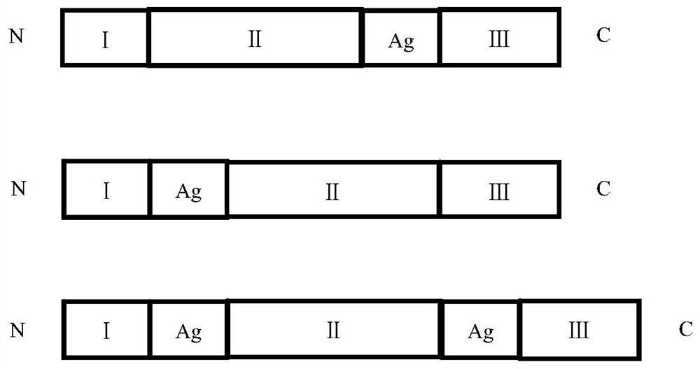 African swine fever virus chimeric protein, vaccine composition, preparation method and application thereof