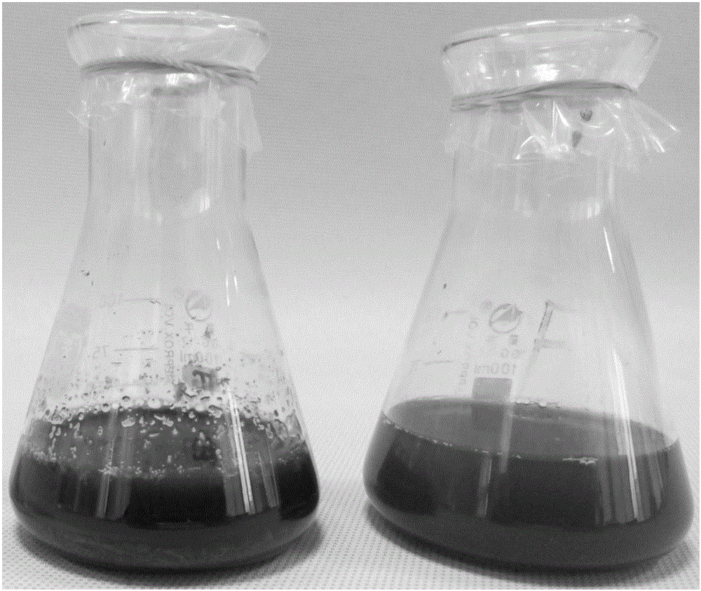 Method for producing trichoderma solid spawn by taking amino acid hydrolytic solution and rice straw as raw materials