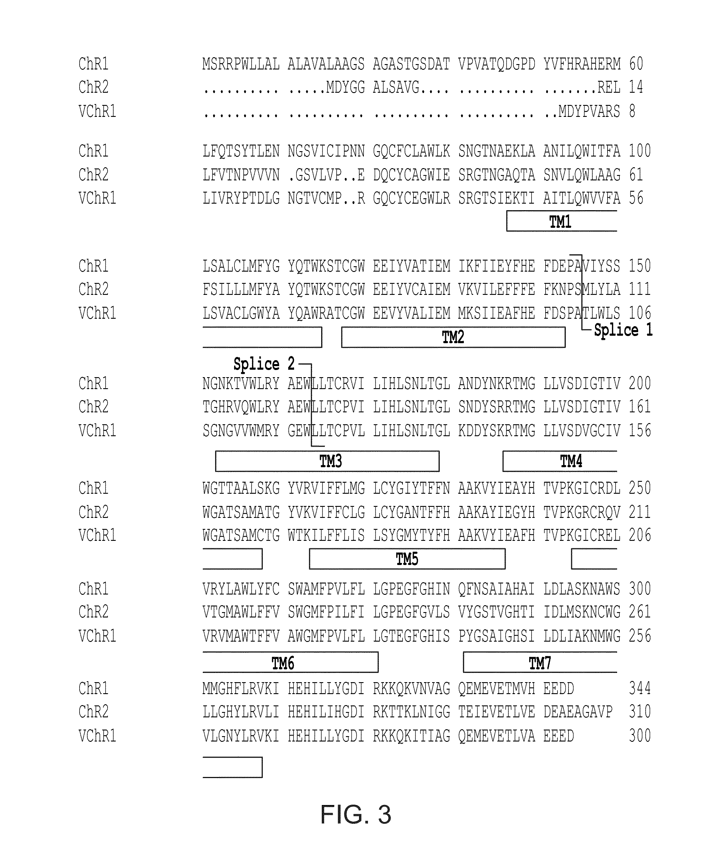 Light-activated chimeric opsins and methods of using the same