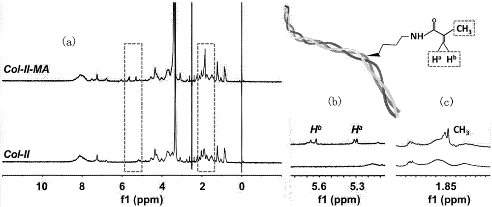 Method for preparing collagen-II aquagel for inducing chondrogenic differentiation of stem cells