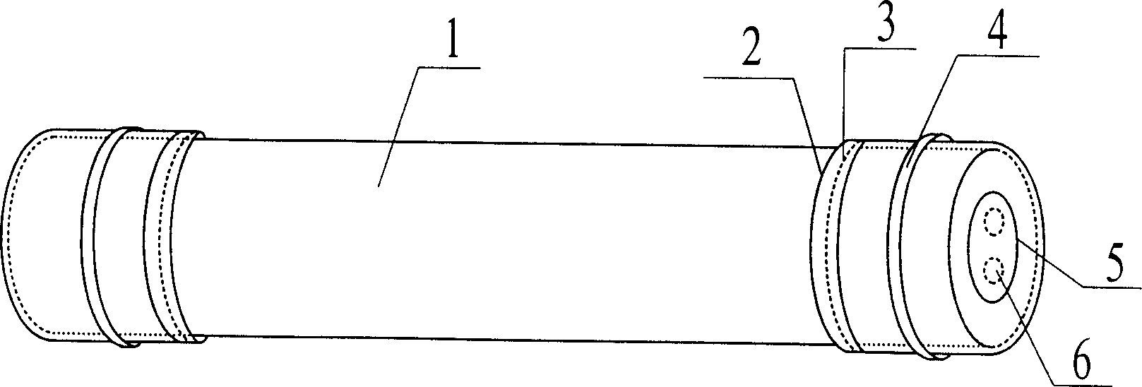 White ant fumigating treating method for log