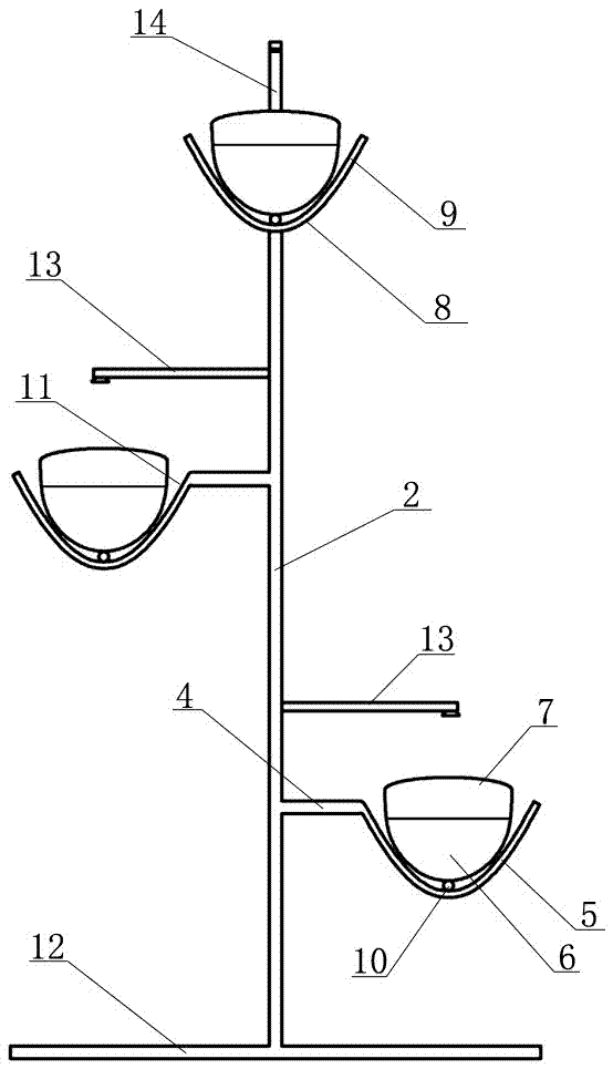 Strawberry planting rack