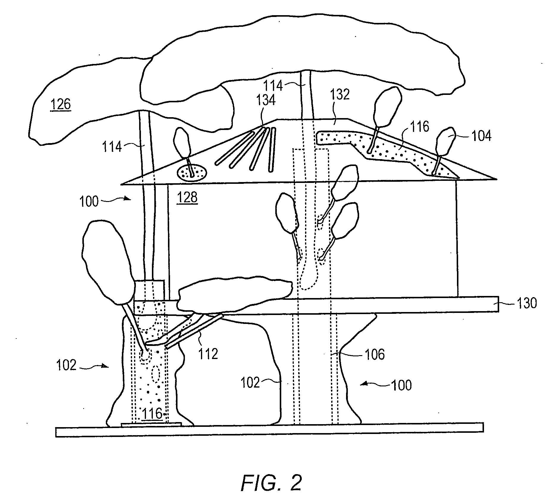 Water amusement system with elevated structure