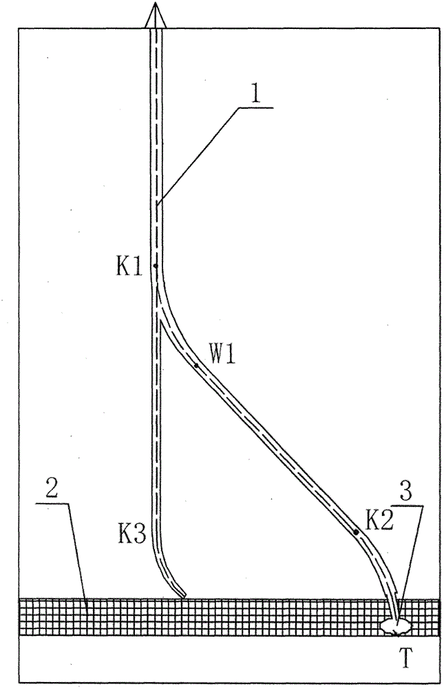 Single borehole multilateral directional butted well salt mining method