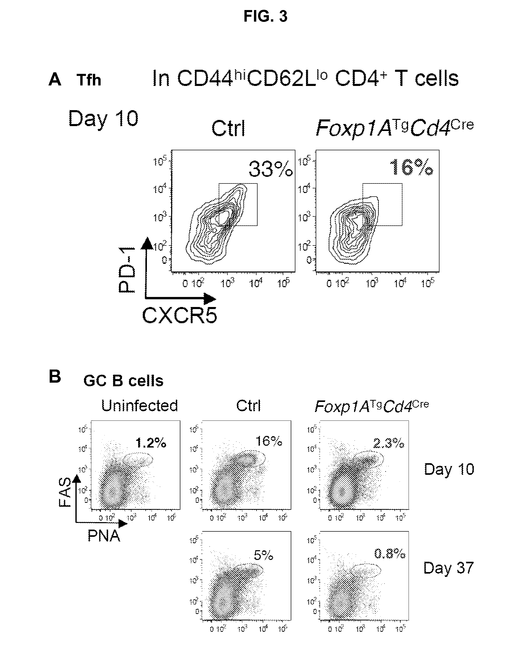 Methods and Compositions for Manipulating the Immune System