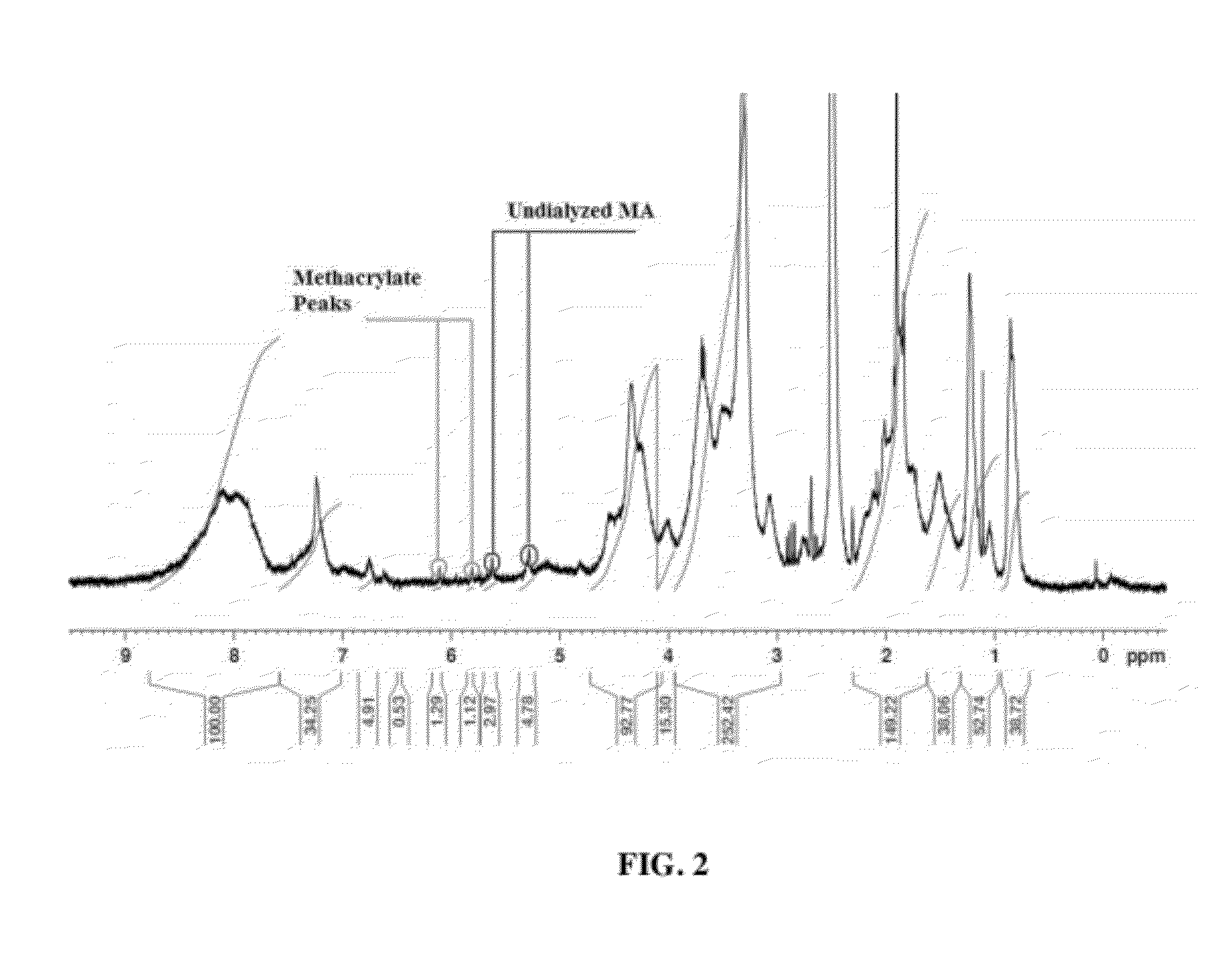 Process for the synthesis of methacrylate-derivatized type-1 collagen and derivatives thereof