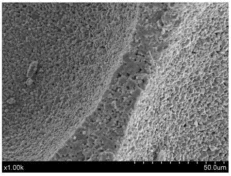 Porous biological piezoelectric ceramic and preparation method thereof