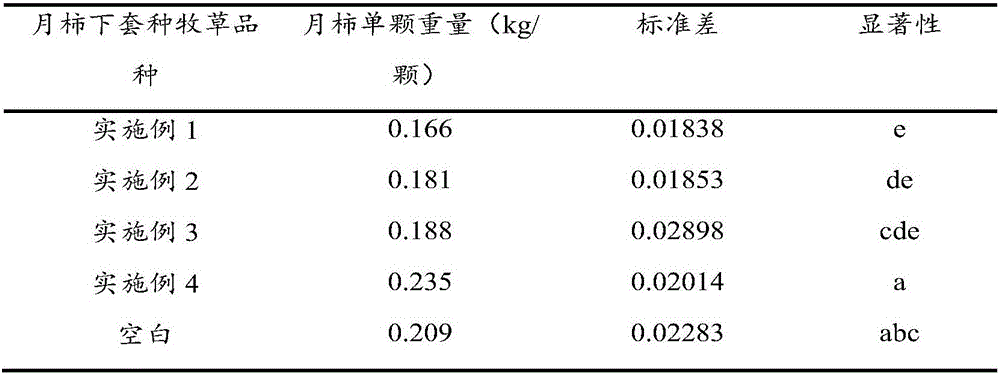 Method for interplanting leguminous forages in persimmon orchard and persimmon orchard ecological system