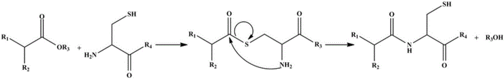 Cysteine-hyaluronic acid conjugate prepared through freeze drying and thiol-ene click chemistry, synthesis method and applications thereof