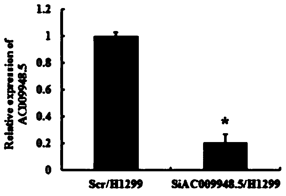 Application of a lncrna in diagnosis and/or treatment of lung adenocarcinoma