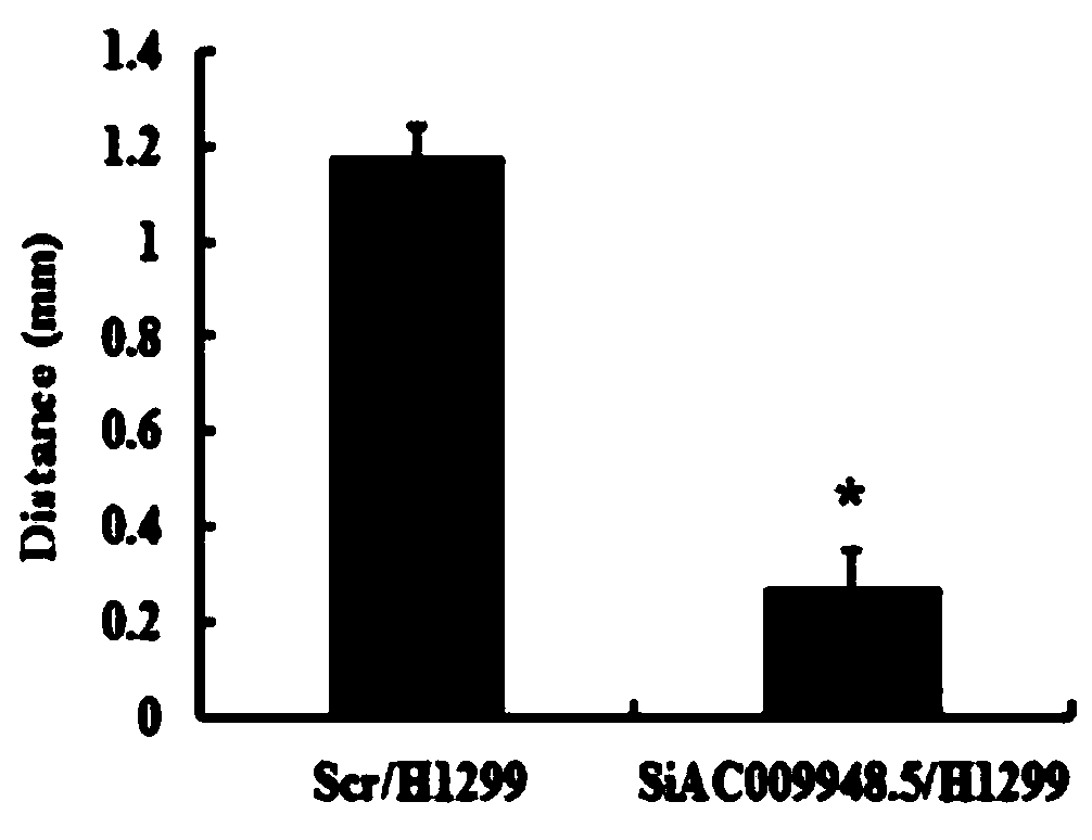 Application of a lncrna in diagnosis and/or treatment of lung adenocarcinoma