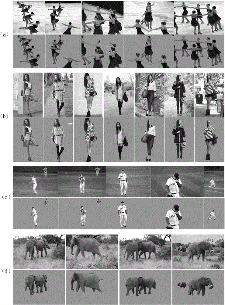 Image object co-segmentation method guided by local shape migration