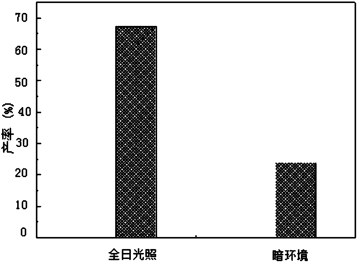 Method of asymmetrically reducing p-propiophenone compound with rice callus