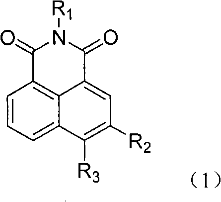 5- or 6-substited naphthoyl imines compounds and antineoplastic application