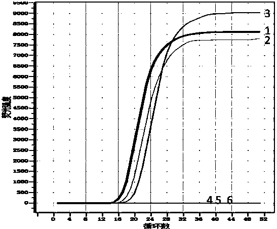 Lamp detection primer set, lamp detection kit and detection method of transgenic insect-resistant soybean mon87701 and its derivatives