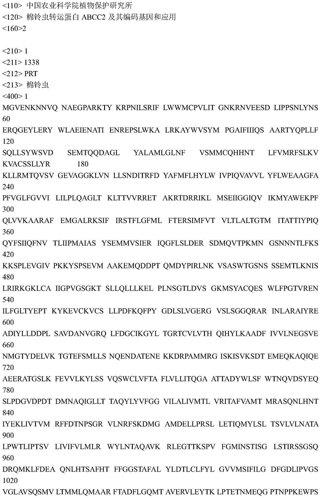 Cotton bollworm transport protein ABCC2 as well as coding gene and application thereof
