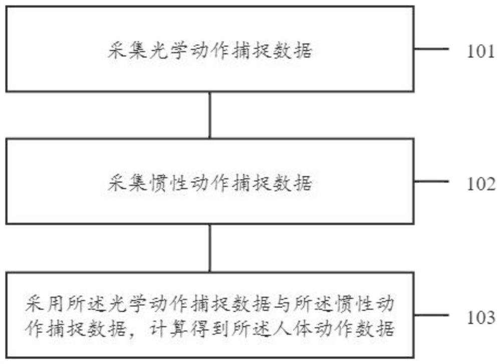 Human body action data acquisition method and device