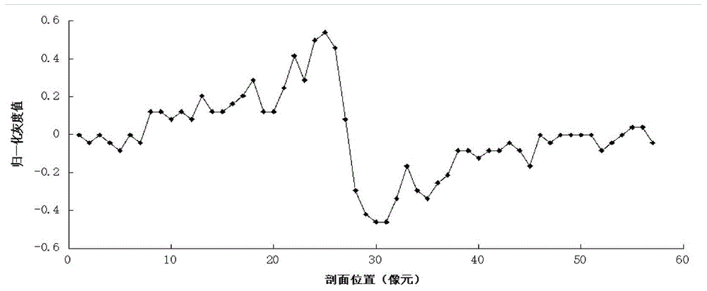 Method for using remote sensing images to measure sand wave water depth