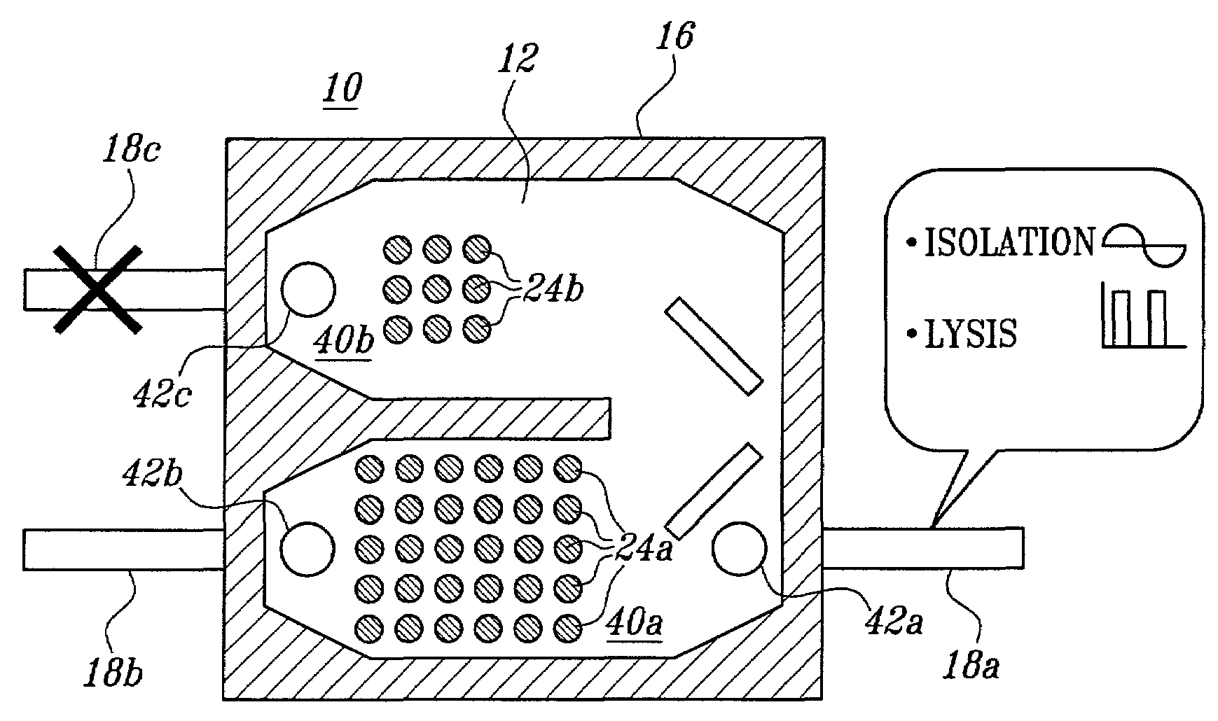 Channel-less separation of bioparticles on a bioelectronic chip by dielectrophoresis