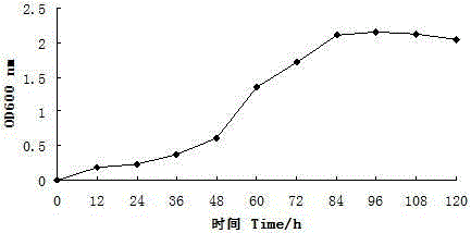 A method for anti-low temperature of tall fescue using compound microbial bacterial agent