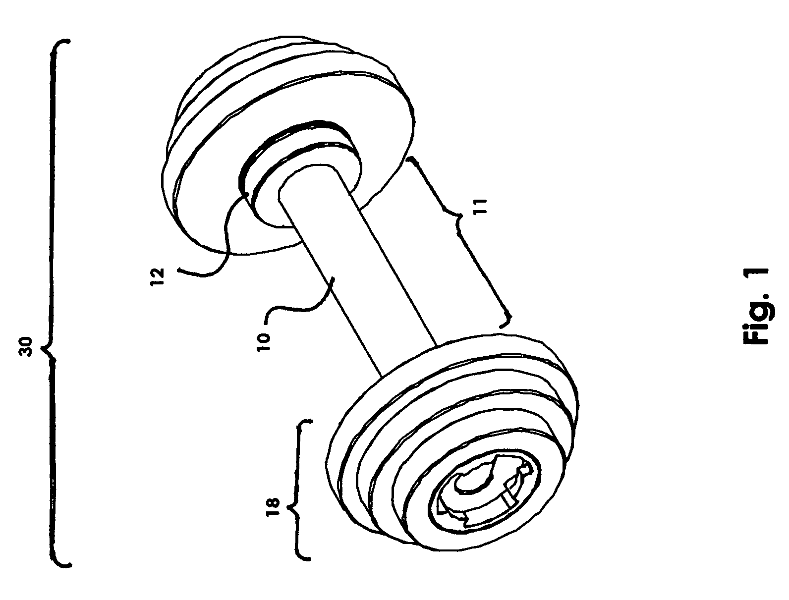 Weight exercise apparatus