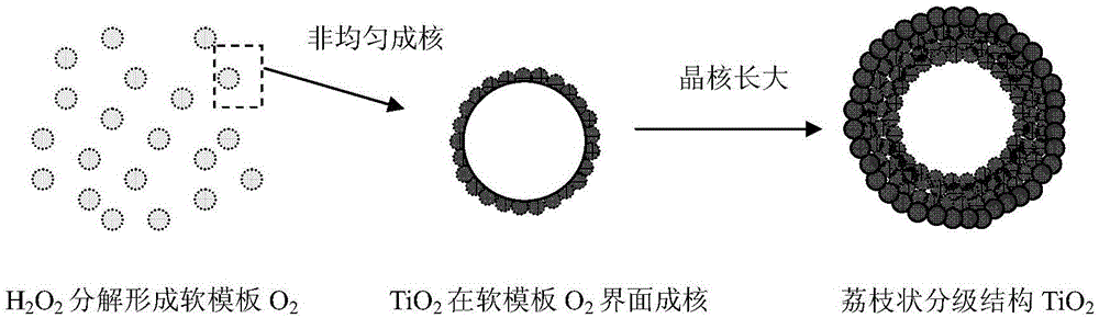 Preparation method of litchi-like hierarchical-structure {001}-surface-exposed TiO2 powder