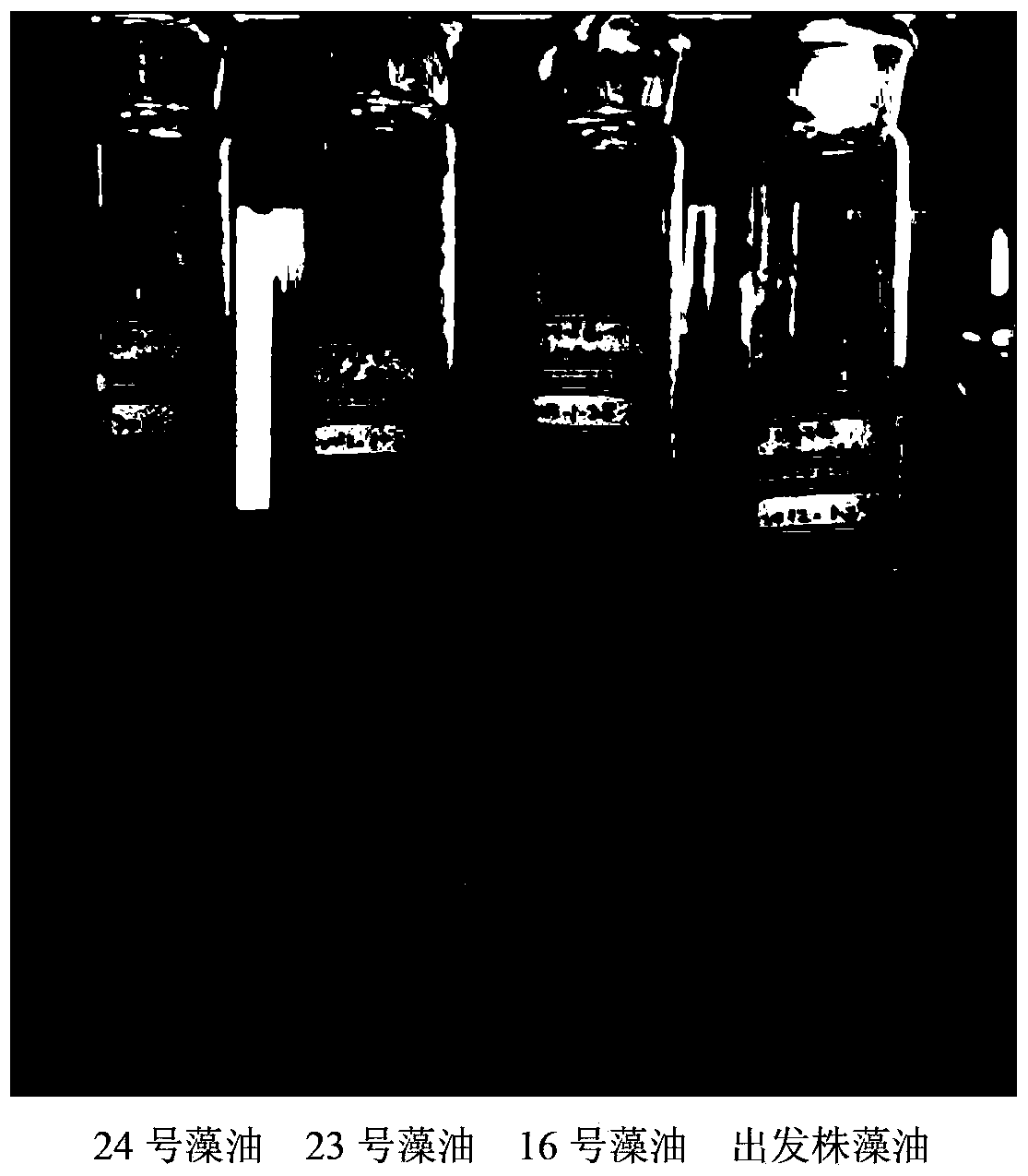 Crypthecodinium cohnii mutant strain with high yield of DHA (docosahexaenoic acid), as well as fermentation method and application thereof