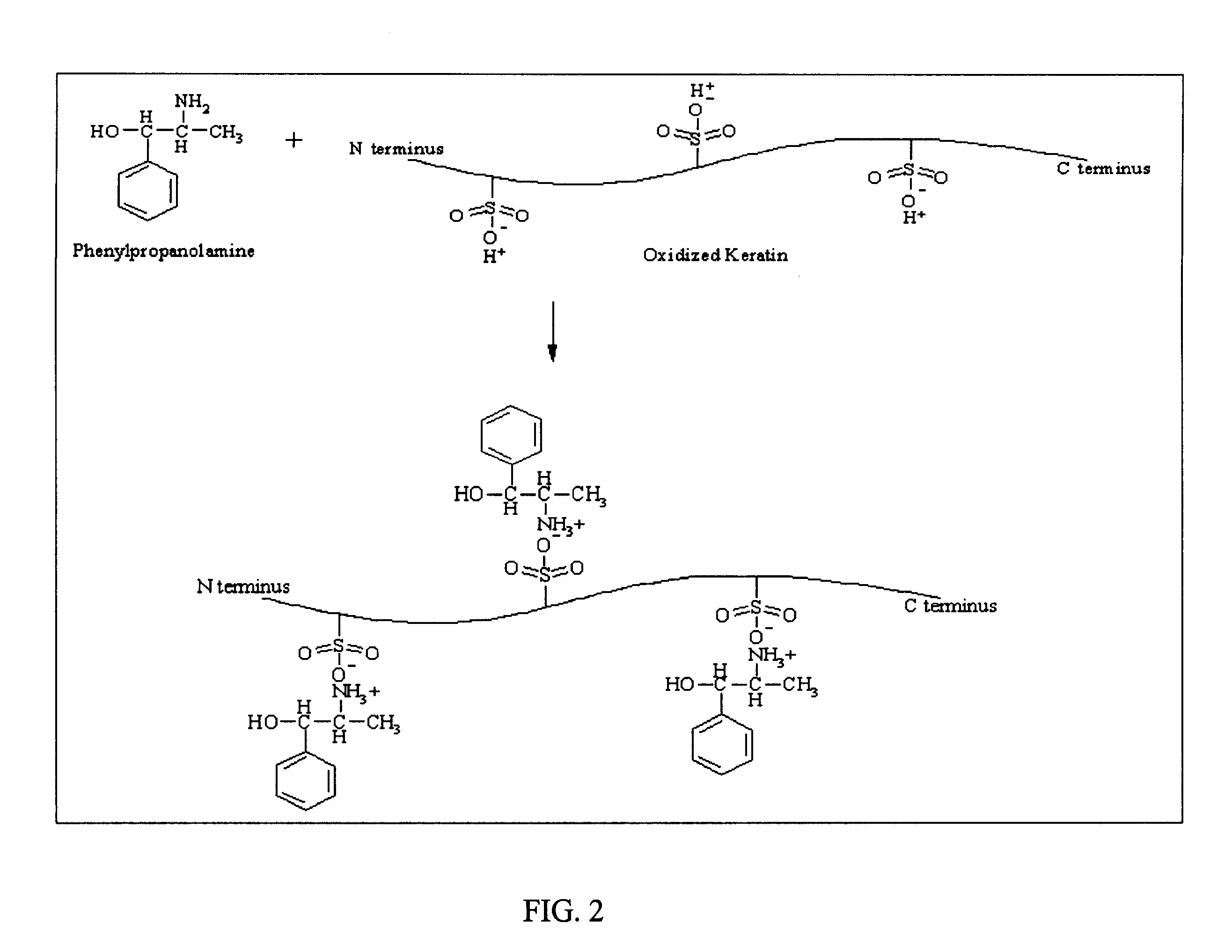 Non-woven keratin cell scaffold