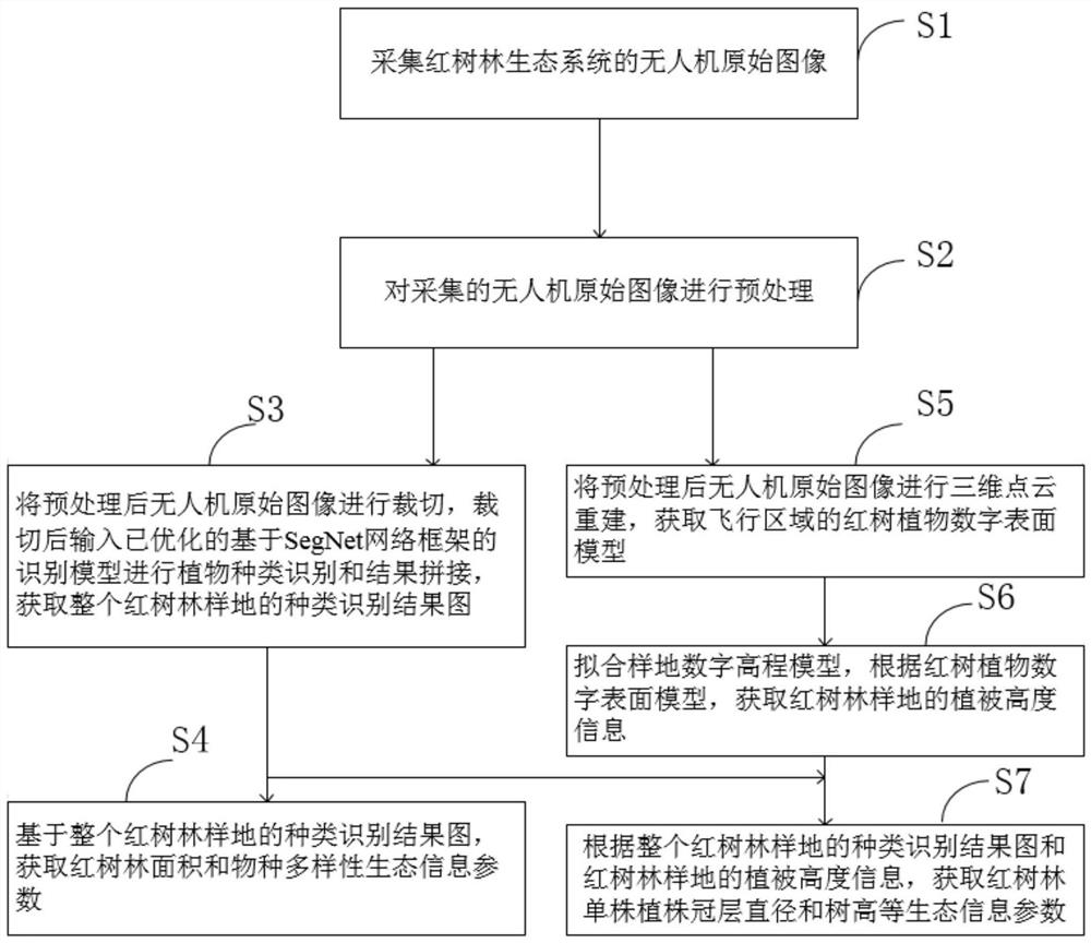 Mangrove forest ecological information intelligent extraction method based on unmanned aerial vehicle