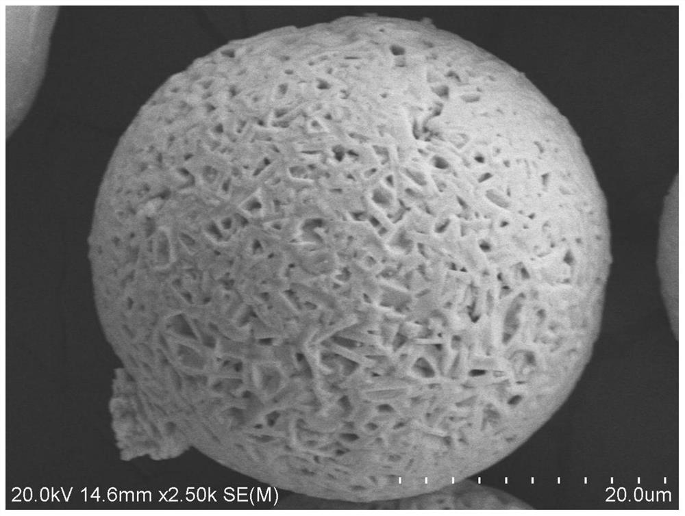 Hafnium diboride-tantalum disilicide composite powder and preparation method thereof