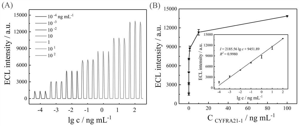 Electrochemiluminescence immunosensor for non-small cell lung cancer CYFRA21-1 detection and detection method