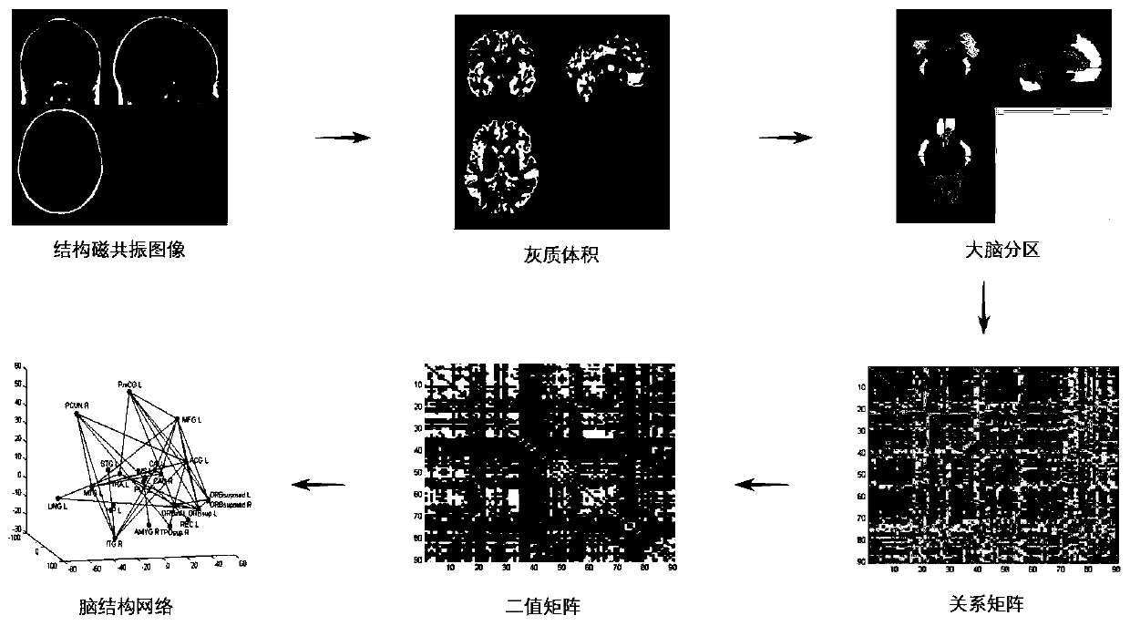 Graph convolutional neural network evolution method for dynamic brain structure