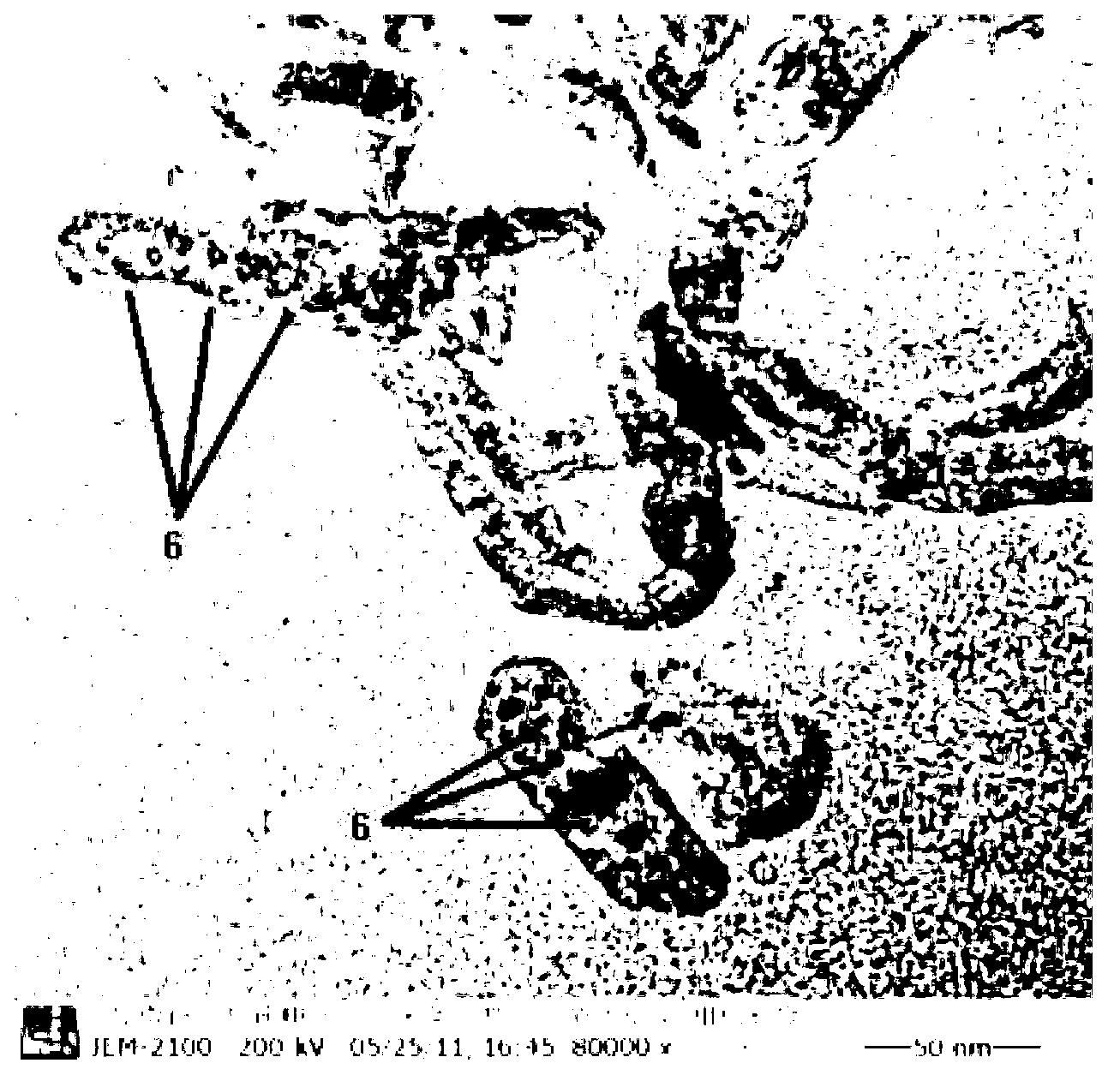 Highly dispersed palladium/carbon nanometer tube catalyst for anthraquinone hydrogenation and preparation method thereof