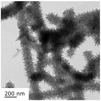 Carbon nanotube/polyaniline composite material with electrochemical anti-corrosive action, preparation method and application