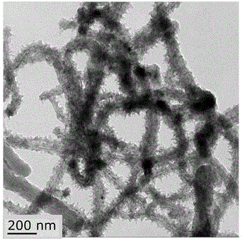 Carbon nanotube/polyaniline composite material with electrochemical anti-corrosive action, preparation method and application