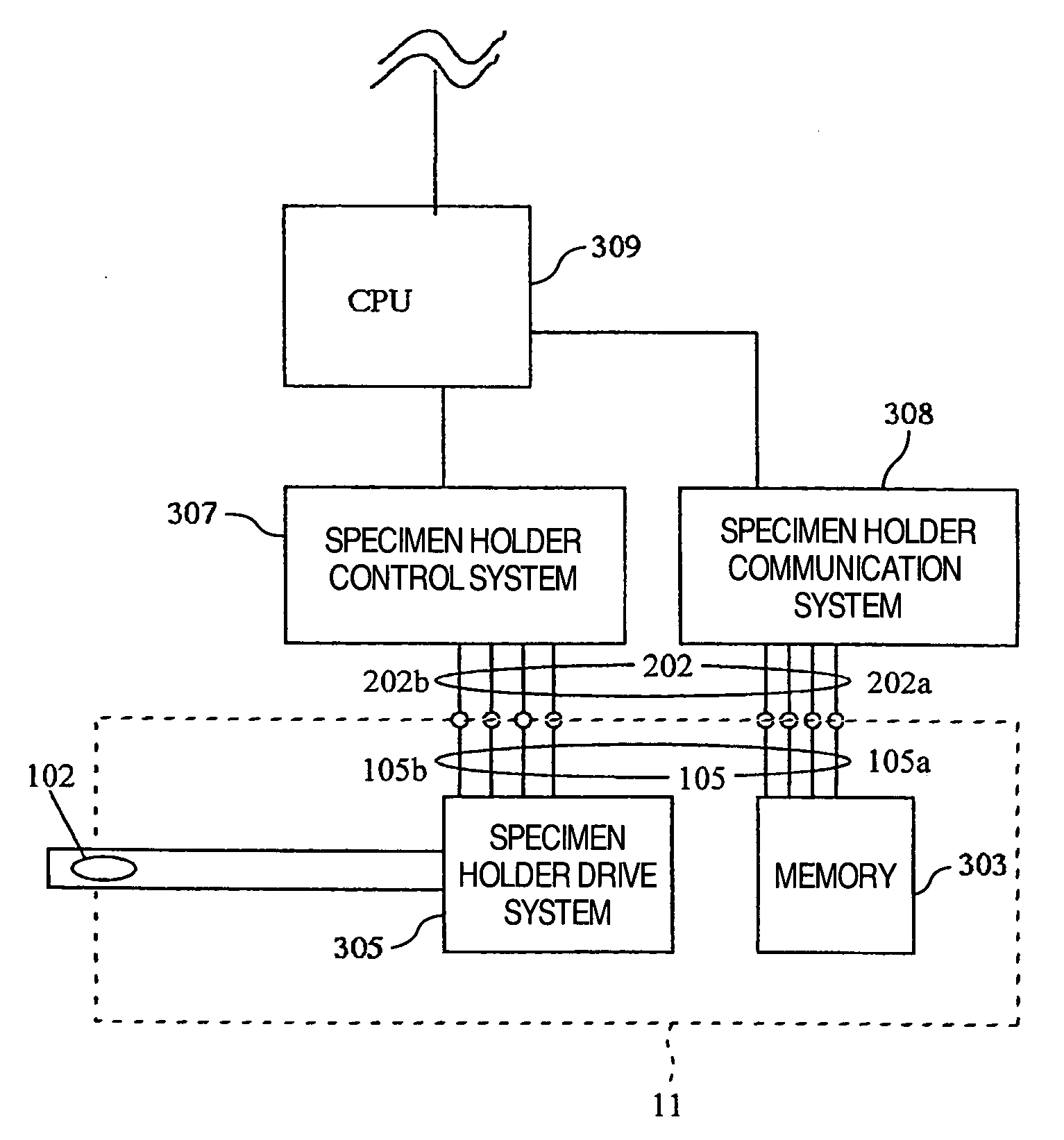 Charged particle beam apparatus and specimen holder