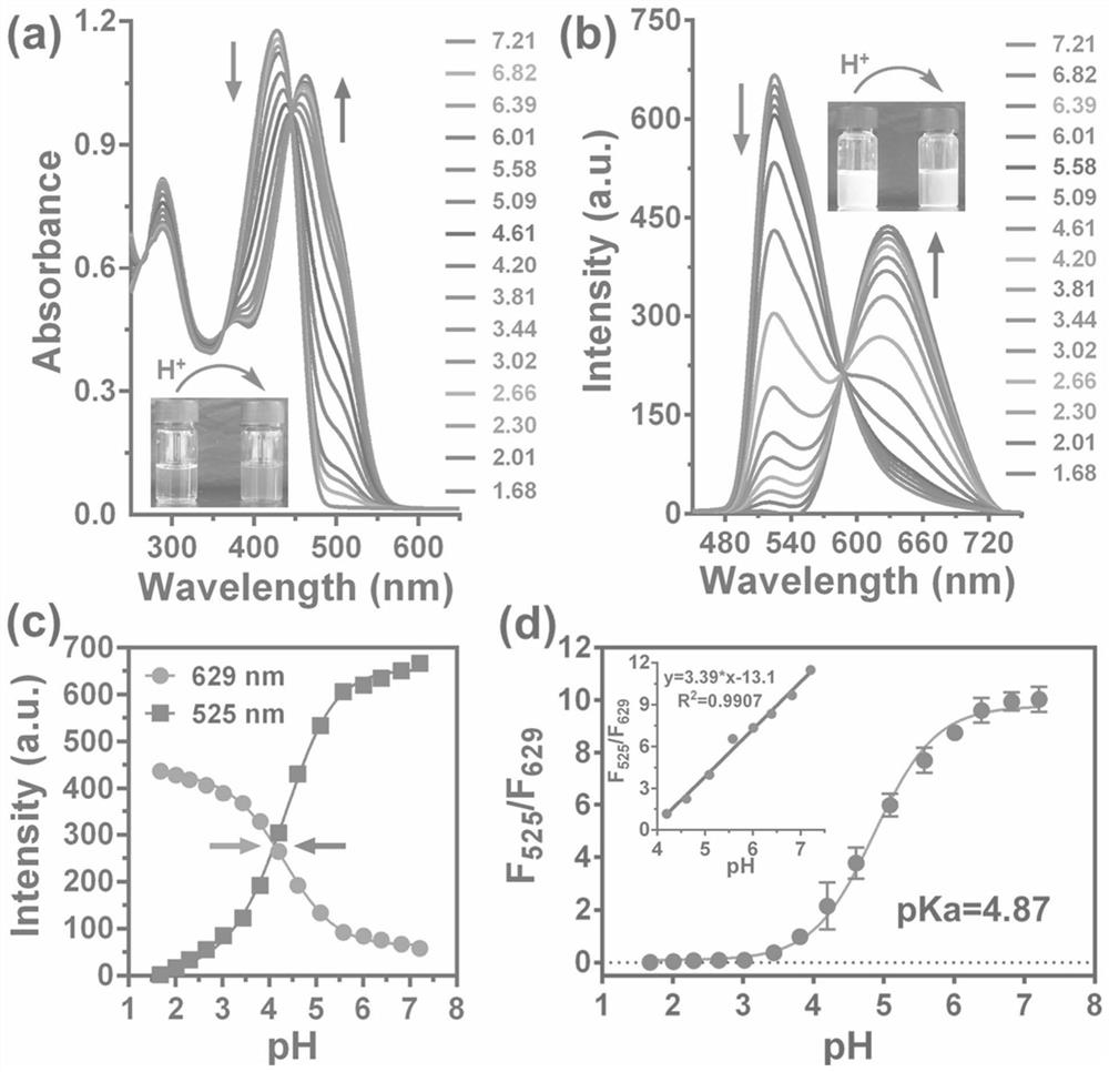 Preparation method of ph ratio fluorescent probe sp-dcch and its application in biological imaging