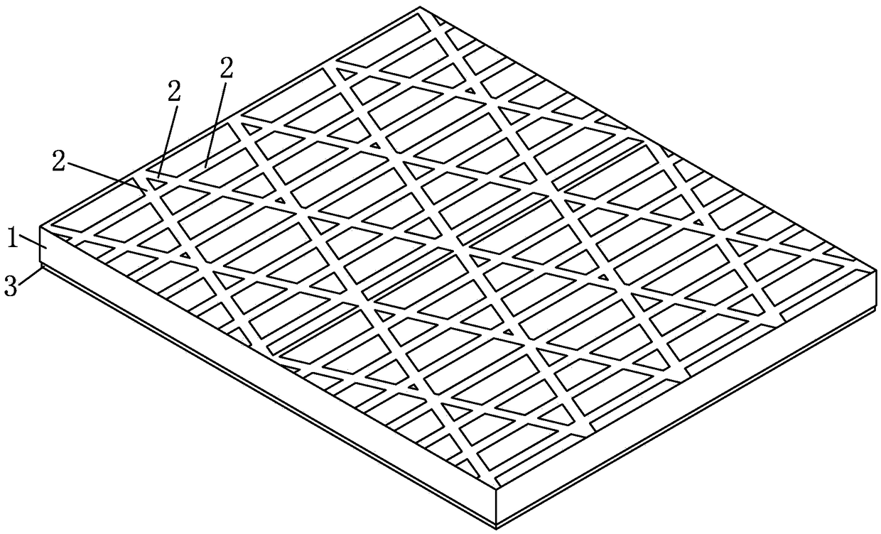 A bionic shark skin drag reduction structure