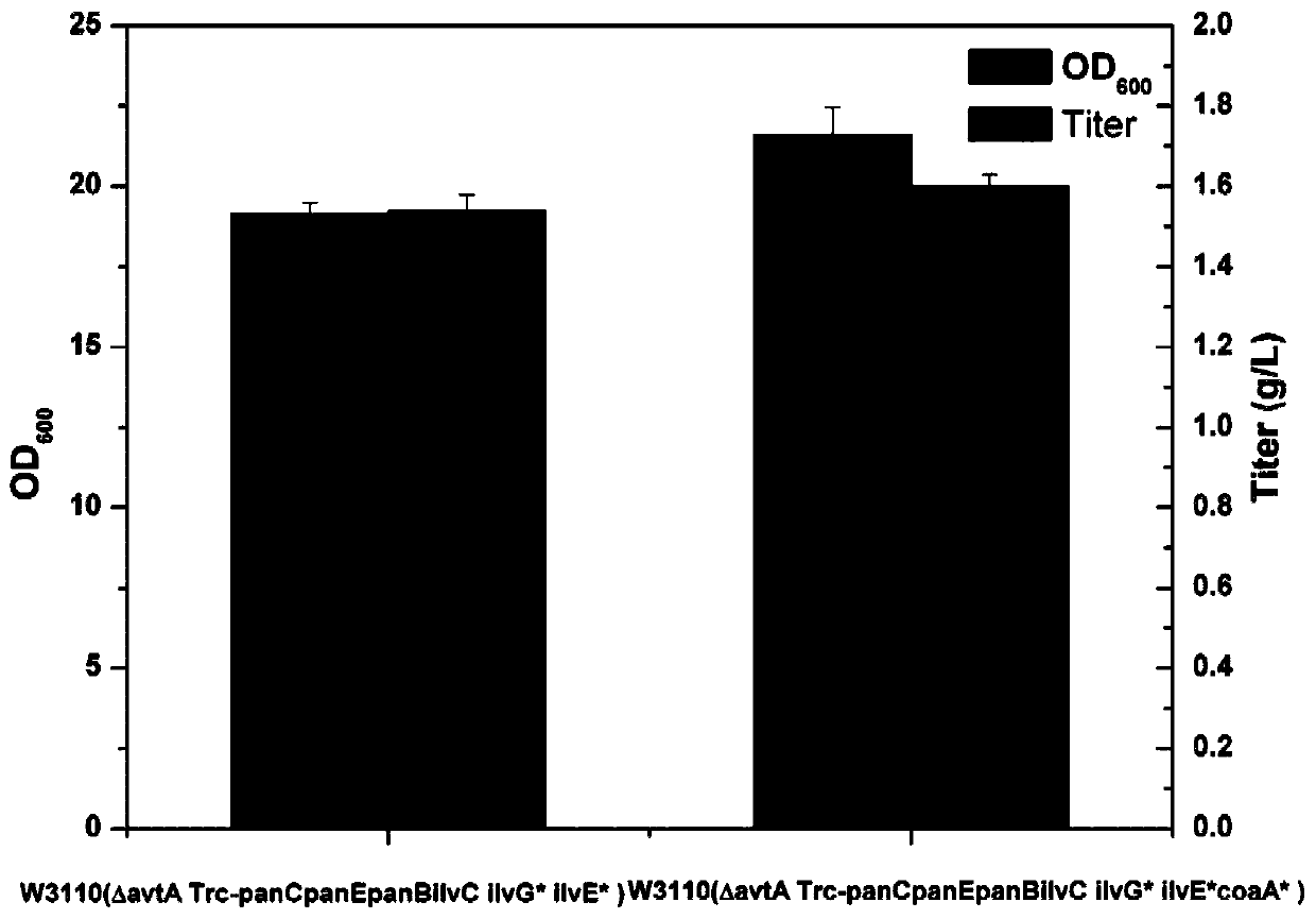 Genetically engineered bacteria, construction and application of high-yielding pantothenic acid without the addition of β-alanine