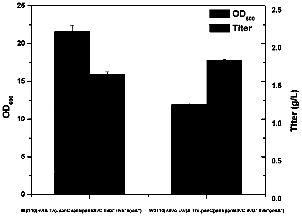 Genetically engineered bacteria, construction and application of high-yielding pantothenic acid without the addition of β-alanine